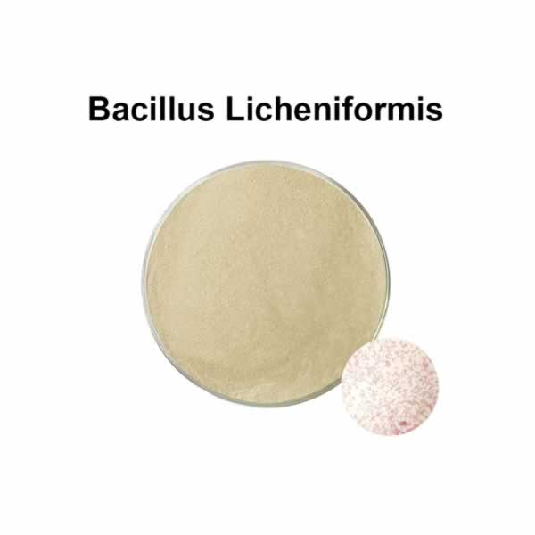 Пробиотическая добавка Bacillus Licheniformis 100 миллиардов